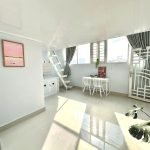 Penhouse rộng tại Nguyễn Văn Đậu, Bình Thạnh - ảnh 3