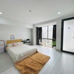 1PN cửa sổ lớn 5tr9 tại Nguyễn Văn Lượng, Gò Vấp - ảnh 5