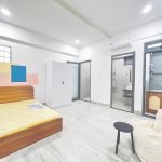 Studio tại Nguyễn Văn Lượng, Gò Vấp - ảnh 3