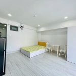 1PN cửa sổ lớn 5tr9 tại Nguyễn Văn Lượng, Gò Vấp - ảnh 7