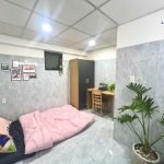 Studio không giường tại Lê Đức Thọ, Gò Vấp - ảnh 5